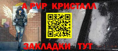 гидра Ставрополь