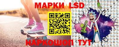 гидра Ставрополь