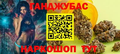 гидра Ставрополь