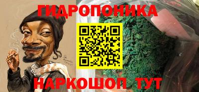 гидра Ставрополь