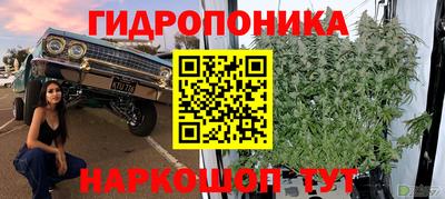 гидра Ставрополь