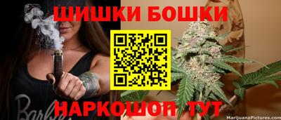гидра Ставрополь