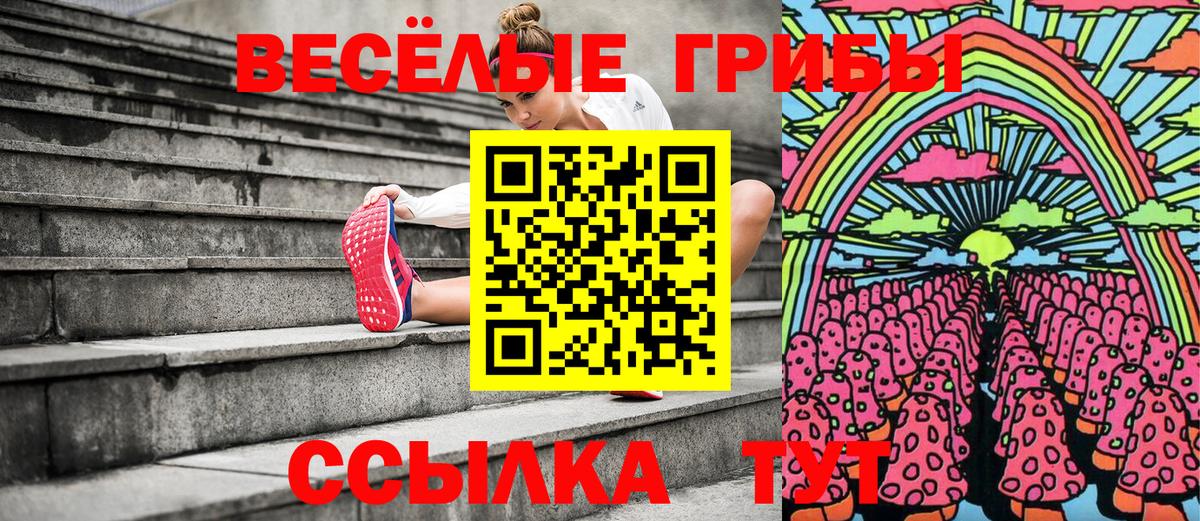 Псилоцибиновые грибы ЛСД  Вход с VPN  Новосибирск 
